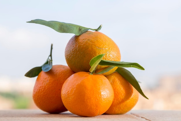 Heap of tangerines flavored citrus