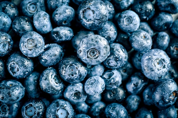 Heap of tasty ripe blueberries close up