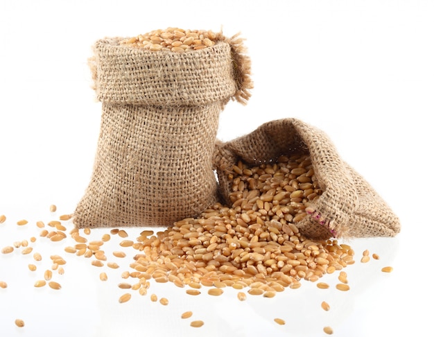 Heap Wheat grains on background. Close up