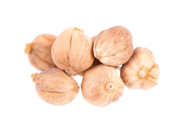 Heap of white cardamom pods isolated on white background kapulaga jawa or javanese cardamom amomum