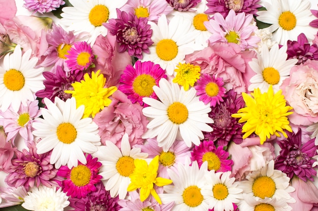 Photo heap of wonderful bright flowers