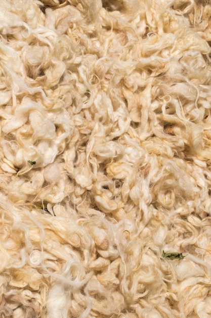 Photo heap of wool as texture background