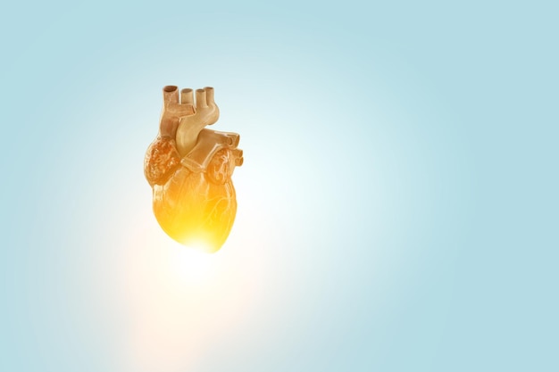 의학 혁신의 상징으로 심장. 혼합 매체