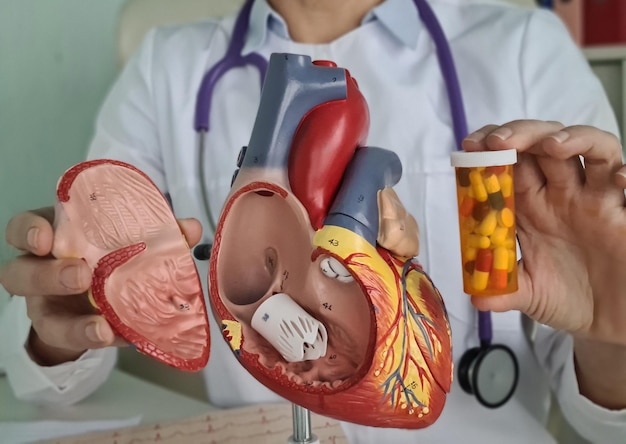 Heart cardiologist holds medical pills and treats the cardiovascular system