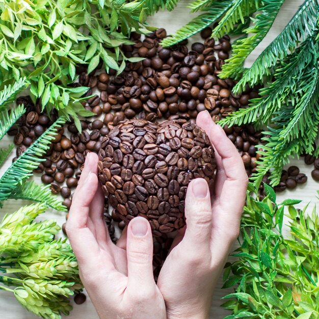 手と緑の枝のコーヒー豆の心