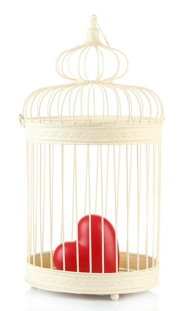 Heart in decorative cage, isolated on white