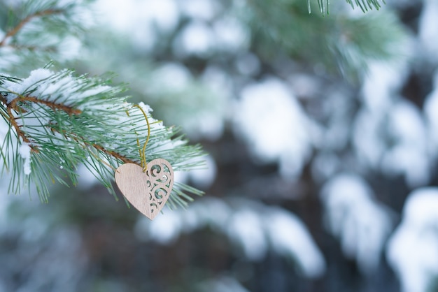 Heart on fir branches in winter