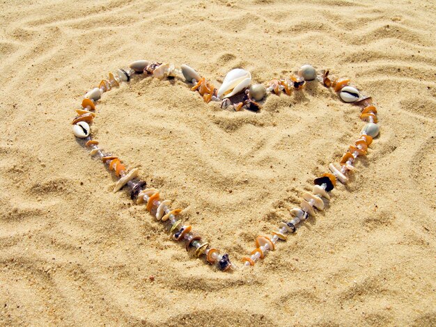 Photo heart from cockleshells and sea pebbles laid out on sand