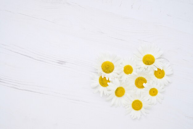 Heart from daisy flowers on white wood