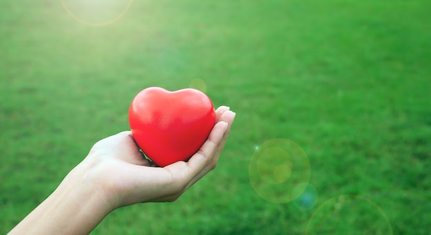 heart in hand on natural green background