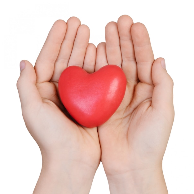 Heart in the hands of a boy isolated on a white background