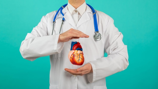 Heart health concept Medical doctor hands holding human heart cropped collage