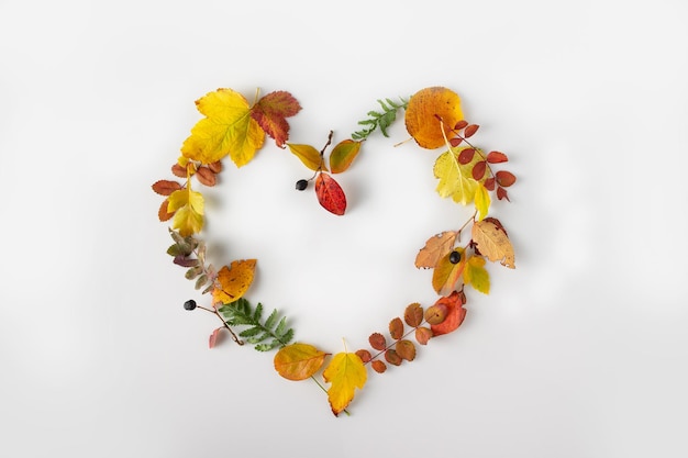 Heart made of colorful autumn leaves on a white background copy space