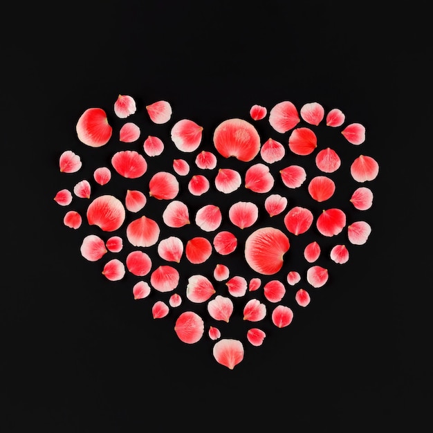 Photo heart made of petals on dark background