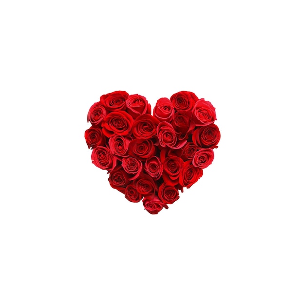 A heart made of roses on a white background