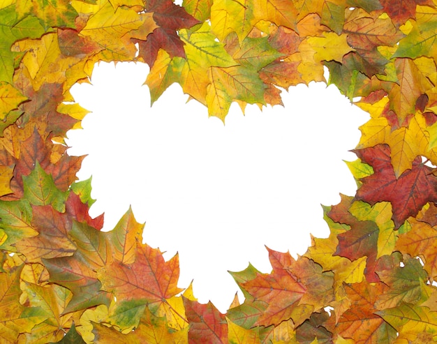 Heart made with autumnal leaves, autumn background
