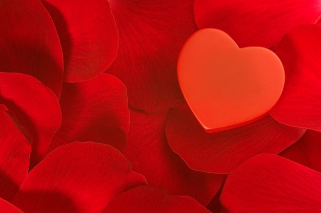 Photo heart on rose leaf