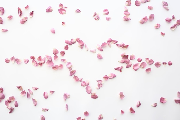 heart rose petals / pink roses, heart-shaped frame petals, love concept