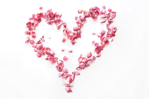 heart rose petals / pink roses, heart-shaped frame petals, love concept