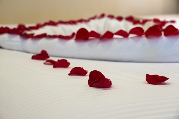 a heart of rose petals and towels on a hotel bed