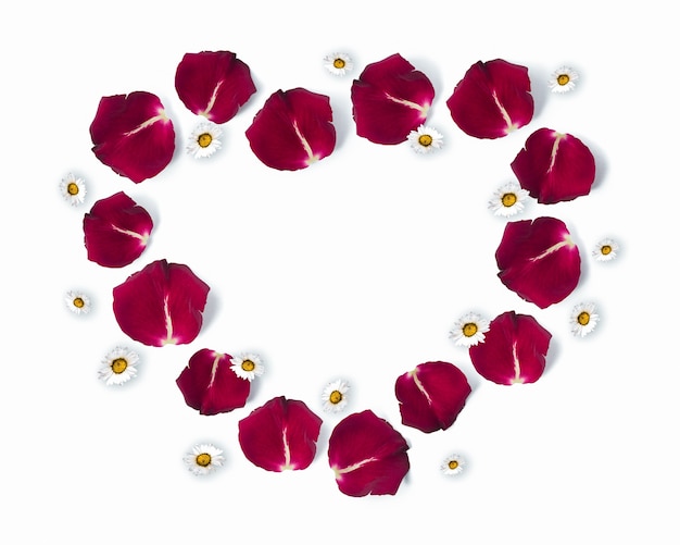 Heart shape frame made of roses petals and daisy flowers with copy space, valentine's day, flat lay