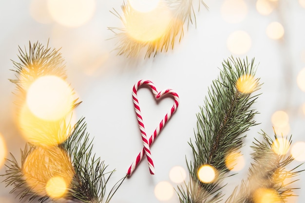 Heart shape made of tasty candy canes and fir tree twig on color background, top view Space for text