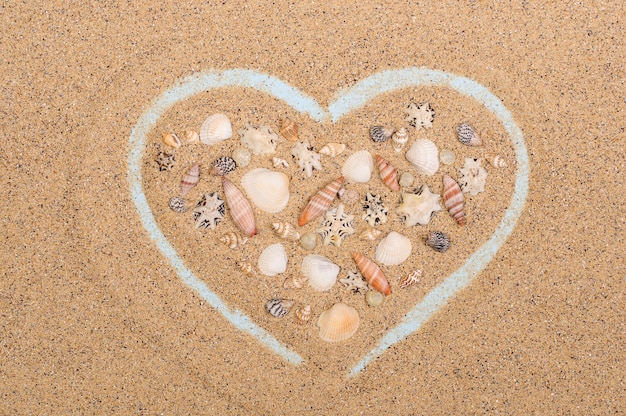 Photo heart shape on the sand with seashells