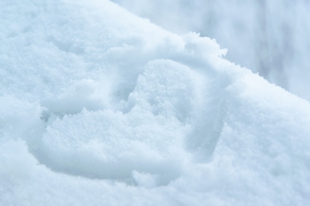 A forma di cuore nella neve