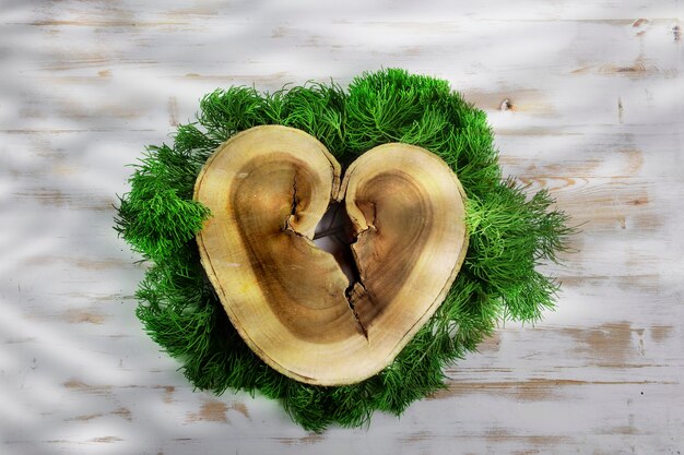 heart shape wooden log slice on pine leaves