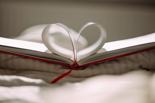 Photo heart shaped book heart from the pages of a book concept of love of reading