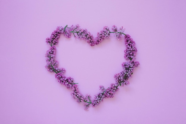 Foto cornice a forma di cuore di fiori lilla su uno sfondo colorato con uno spazio per la copia la primavera di san valentino è arrivata