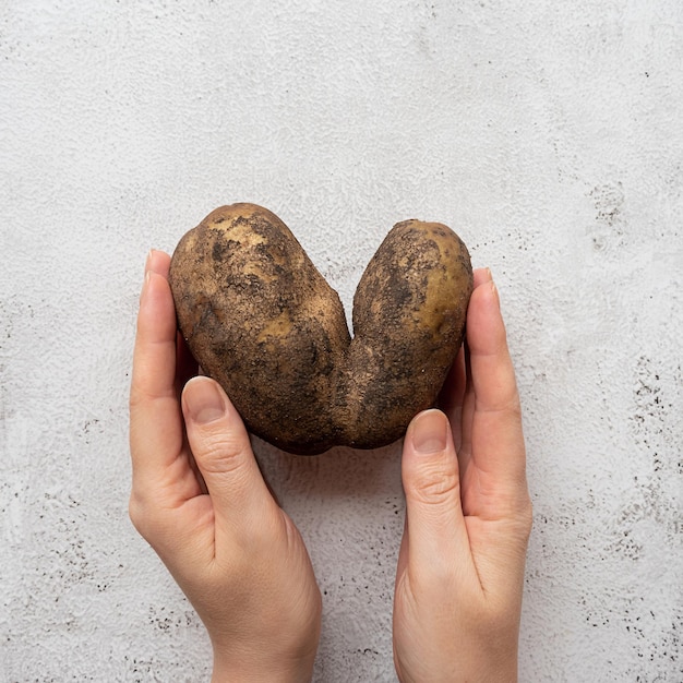 Heart-shaped potato in woman's hands on a gray background. Funny, ugly vegetable or food waste conce
