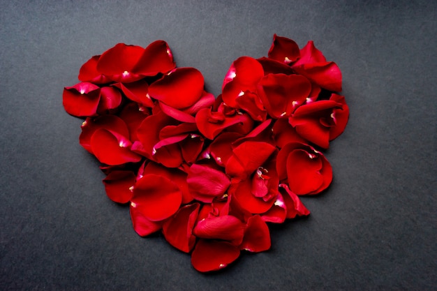 Красные лепестки роз в форме сердца. Открытка к празднику.