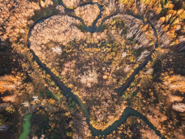 Photo heart shaped river