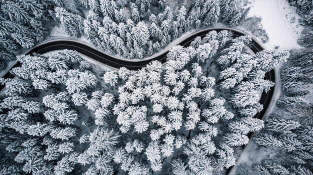 Foto strada a forma di cuore nell'inverno innevato della foresta dall'alto