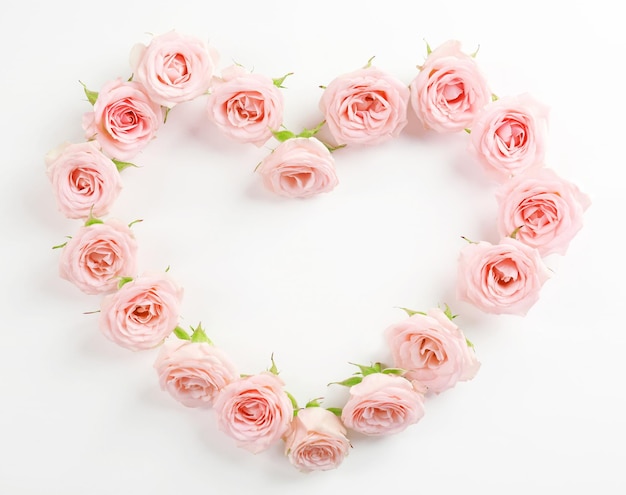 Heart shaped roses on white background