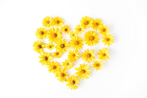 Heart symbol made of bright yellow daisy on white