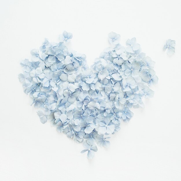 Heart symbol made of hydrangea flower petals