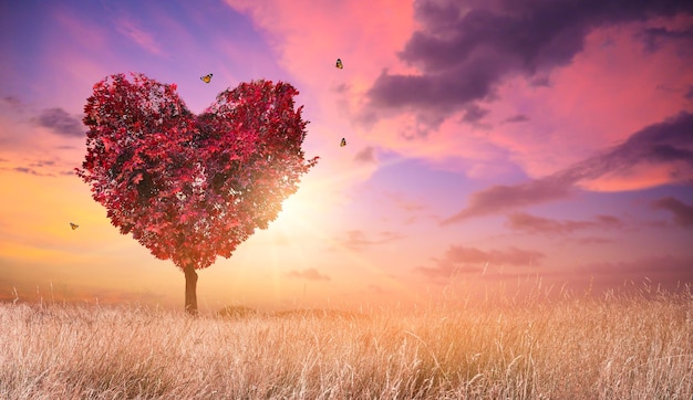 Photo heart tree love for nature red landscape at sunset
