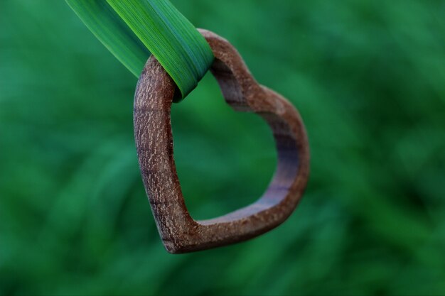 heart of wood on a blurred green background as a symbol