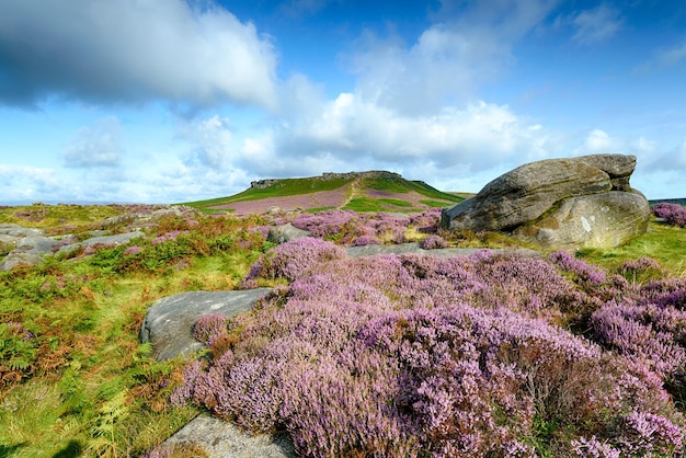 Heather at Carl Wark