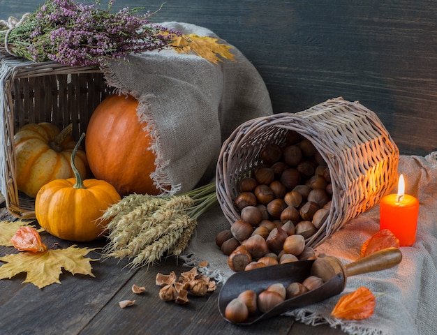 heather, pumpkins, ears, nuts, orange candle