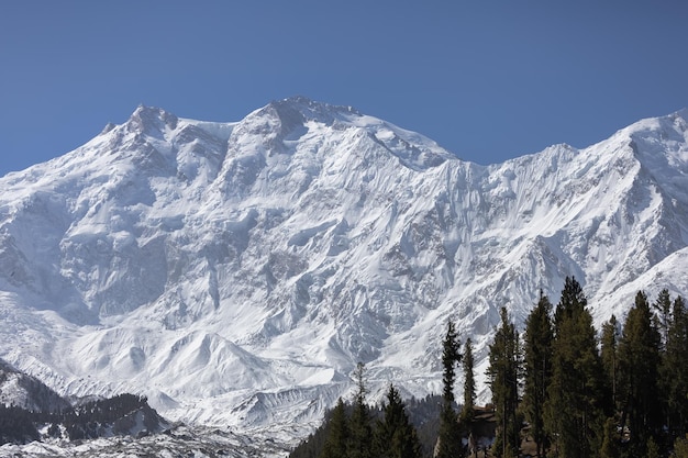 Фото Рай на земленанга парбат из fairy meadowsgilgitbaltistan, пакистан