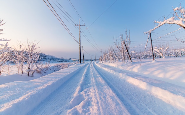 heavey Snowfall during winter season at Gwangju, South Korea.