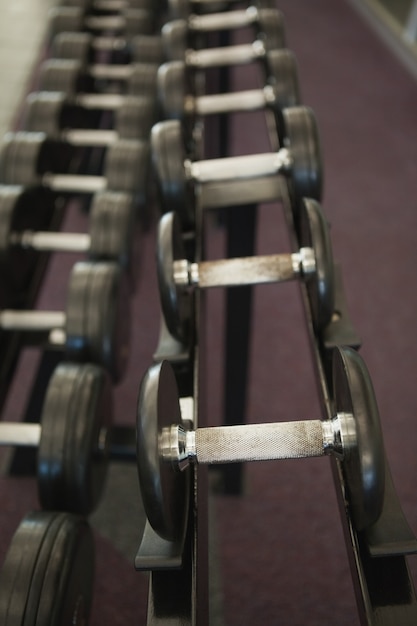 Heavy black dumbbells on rack in weights room