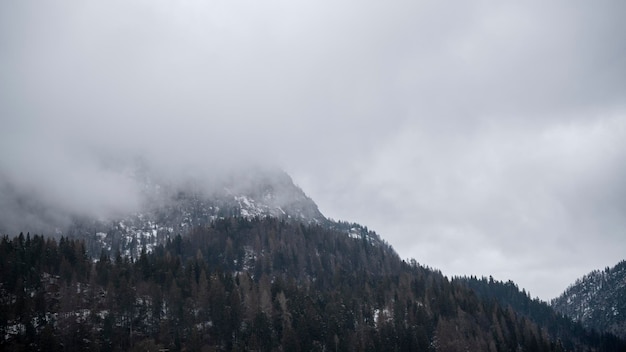 Heavy snow clouds hang over the snowcovered mountains and spruce trees