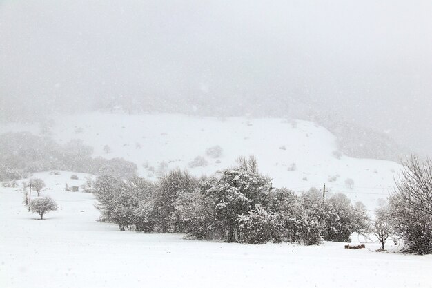 Heavy snowfall in winter in a Caucasus mountain valley