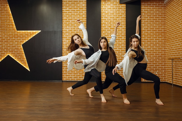 Hedendaagse dansartiesten poseren in de studio. Dansers trainen in de klas, modern ballet, elegantie dansen, rekoefeningen