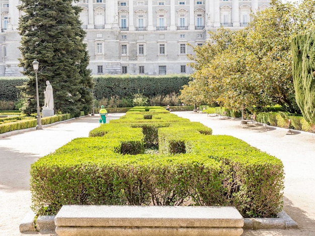 Foto hedge in mezzo al sentiero contro il palazzo reale di madrid