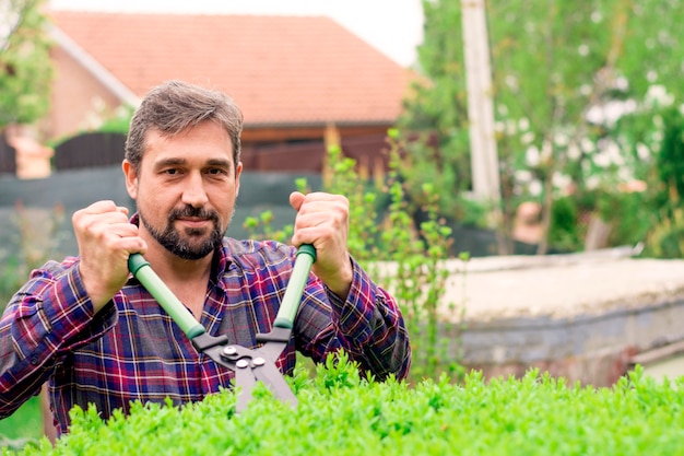 Hedge rowin a garden